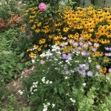Naturalistische tuin in New Jersey